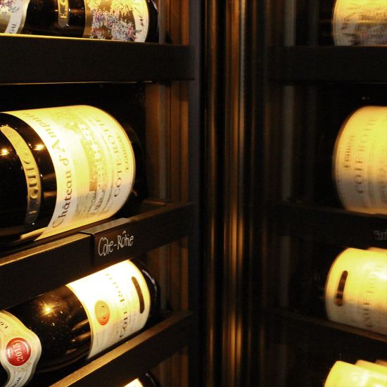 Reife- oder Servierschrank, Eintemperatur Modell - Royale