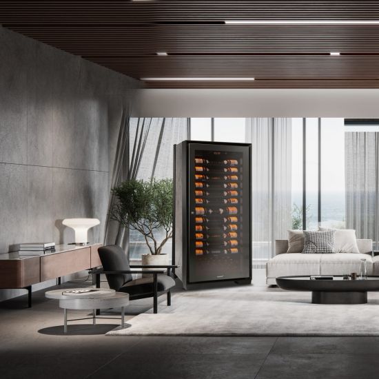 Reife- oder Servierschrank, Eintemperatur Modell - Royale