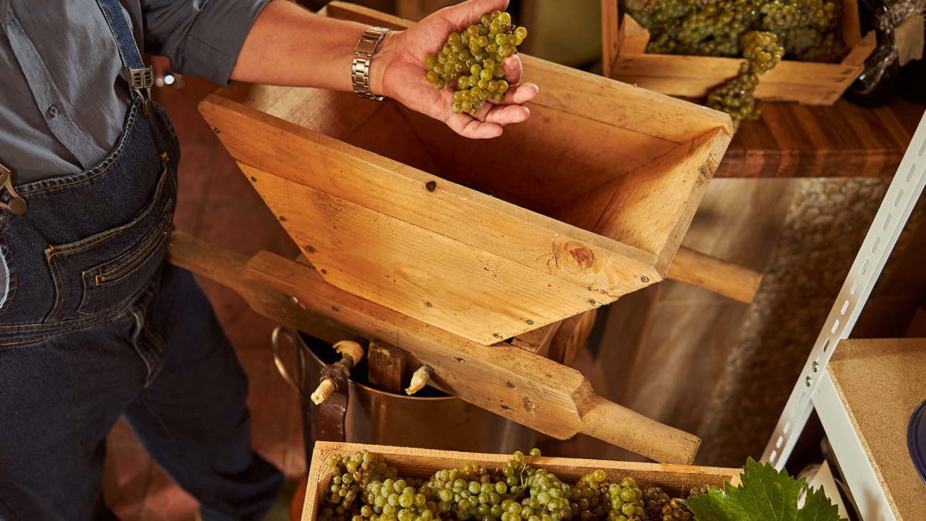 iStock-1272465570 3.jpg