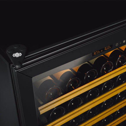 Glastür mit schwarzem Aluminiumrahmen – Doppelverglasung und UV-Schutz