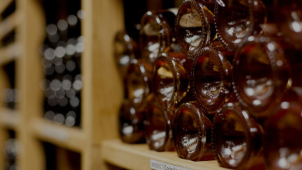 Die 6 wesentlichen Regeln für eine gute Weinlagerung kennen.