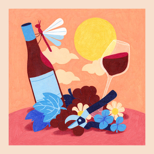 5 Hoffnungsträger für den Wein von morgen von Michelle Bouffard, Sommelière in den Kanada.